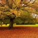 Things To Know Before Starting Autumn Photography!