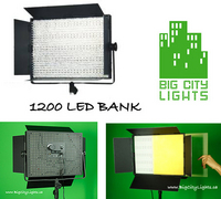 NEW - 1200 LED Light Panel - High Efficiency!