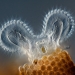 Extraordinary Microscope Photographs - The Big Picture - Boston.com