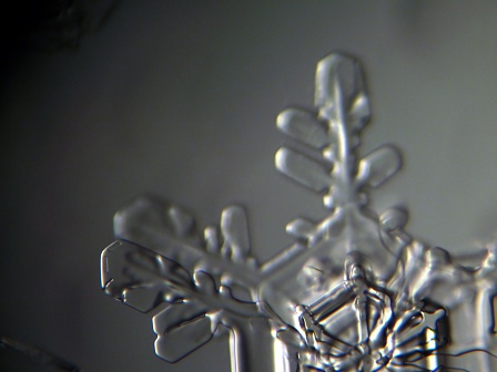 Snowflake Detail
