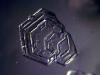 Flat Plate Snowflake