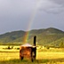 Rainbow over the Outhouse