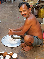 Coconut grinder