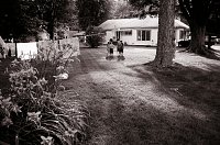 The Cottage on the Island