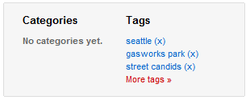 Thumbnail image for cat-tags-1.png